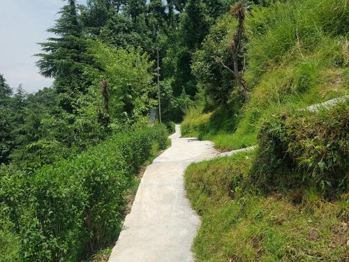 Aditya Homestay Dalhousie