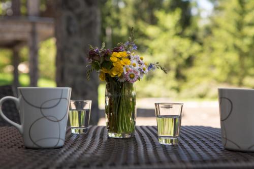 Gorska bajka - Jela, kuća za odmor i wellness