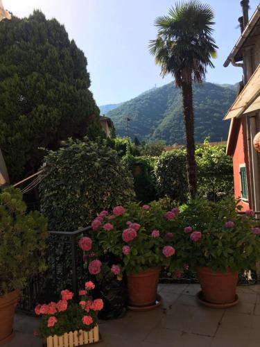 Casa delle Ortensie, Genova (foto 11)