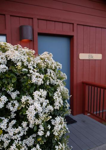 Cottages at Little River Cove