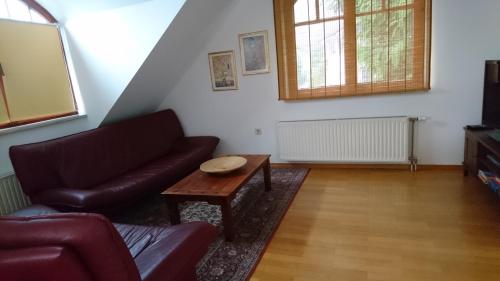 Apartma Dolomiti, Ljubljana (photo 6)