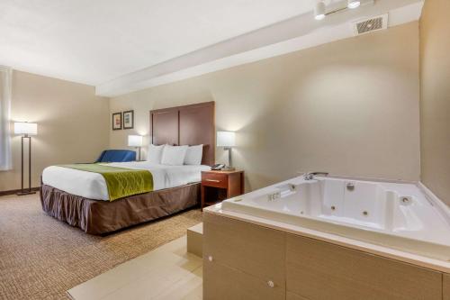 Comfort Inn Lenoir City-Knoxville in 勒努瓦市