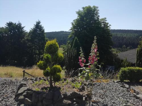 景觀, FeWO Koeppe in 科普