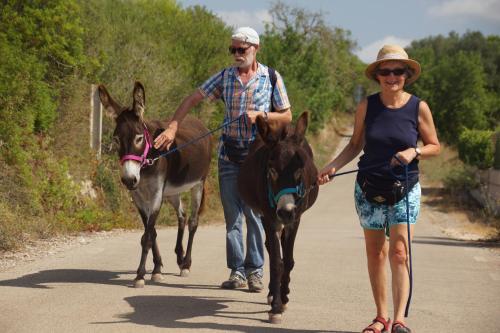 Finca Can Paulino - image 5
