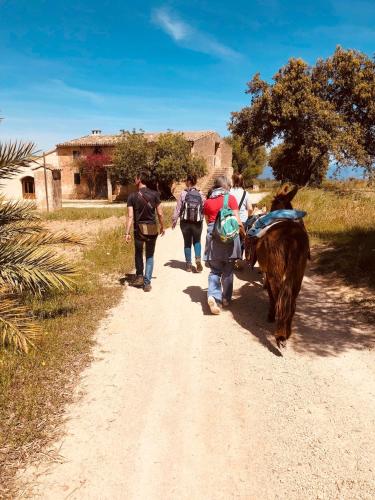 Finca Can Paulino - image 8