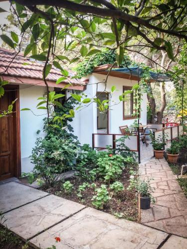  Arya Holiday Houses in Çıralı