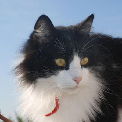 residenza grunwald calle tredici martiri 1391 venice italy it 30124 hotel spa real villa anayet pla