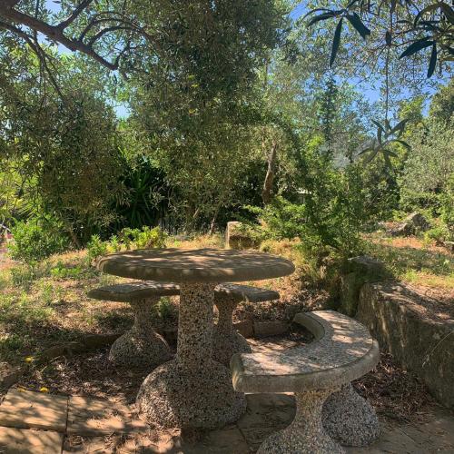 S'Imbragu - image 14