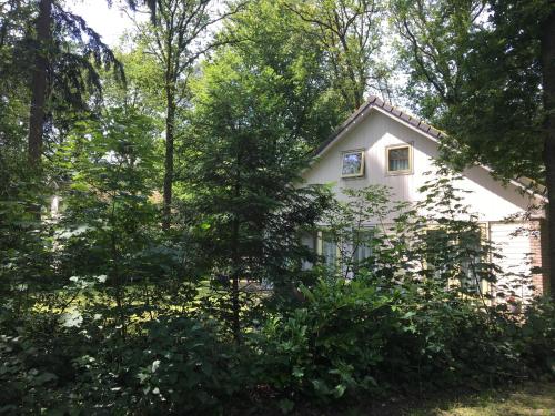  Beautiful house in the forest, Ferienwohnung in Oudemirdum