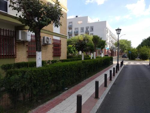 Sevilla Sol - image 10