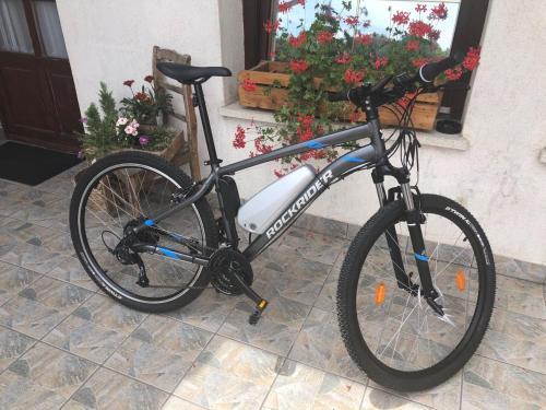  Trófea Fogadó in Szálka