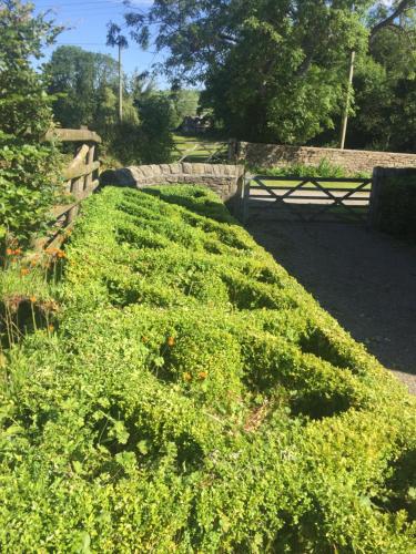 Jardín, Lower House Farm B&B, Herefordshire in Worcestershire