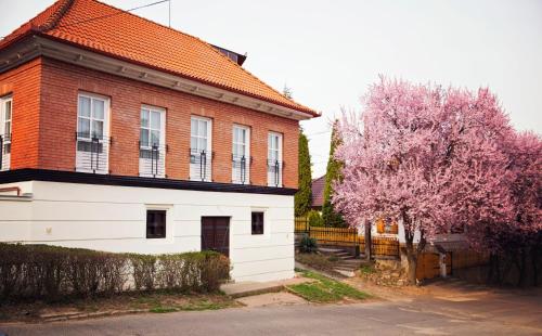  Antalóczy Winery&Apartments in Tokaj