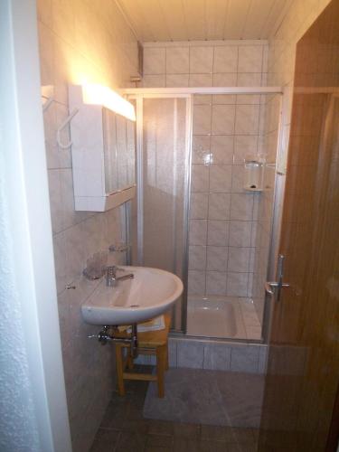 Apartments Haus Steinbock - image 3