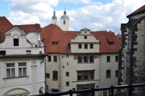 Hotel Cerny Slon - image 10