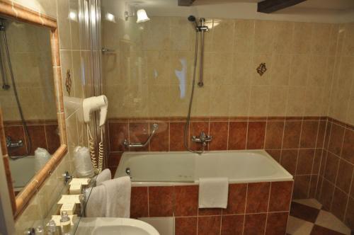 Hotel Cerny Slon - image 12