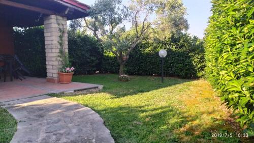 Apartment with Garden View