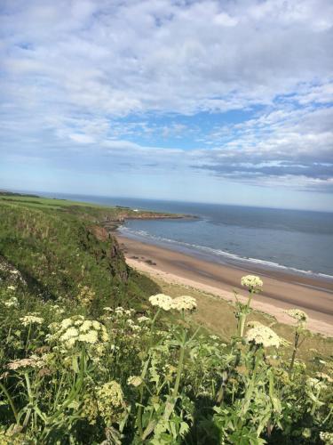 Dunnottar Woods Cottage