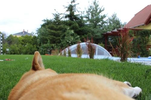 Pool & Lake Holiday Home 2.3km von Wachau entfernt