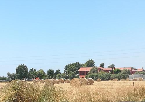 Ila in Fiera - image 7