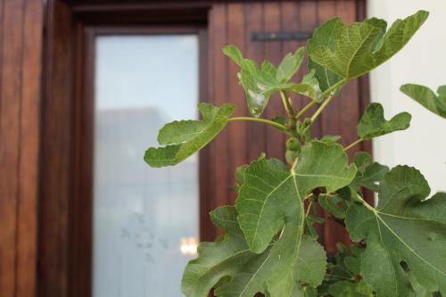  Residence Villa Cicogna in Casale sul Sile