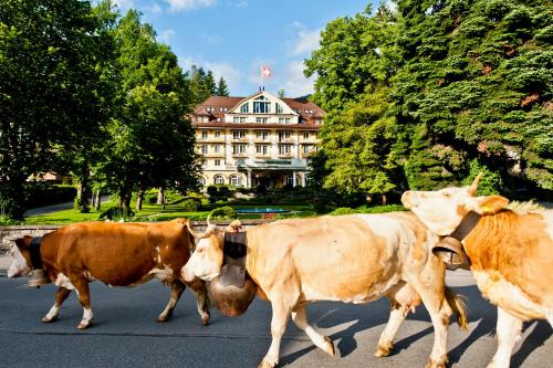 Le Grand Bellevue - Hotel - Gstaad