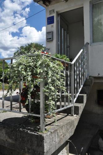 Apartments with a parking space Buzet Central Istria - Sredisnja Istra - 17333 - image 2