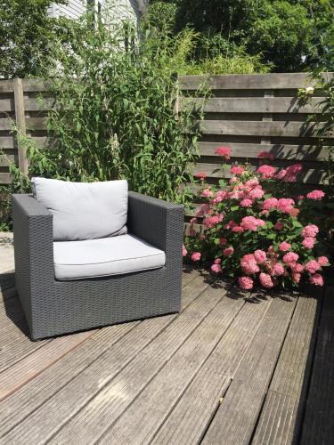 De Vuurdoorn in Bergen-Centrum