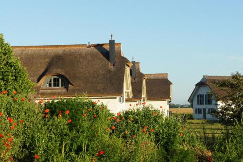 Reetdachhäuser am Bakenberg - image 6
