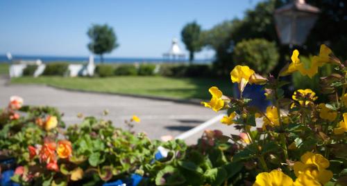 Sunny Brae Bed & Breakfast - image 3