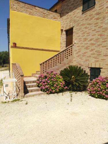 Maisonette