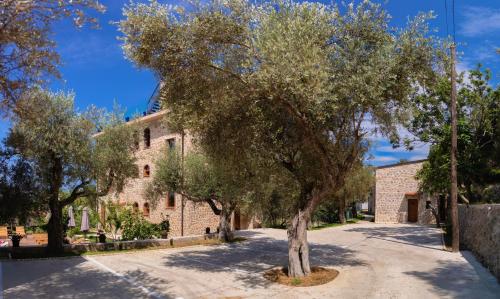 Apart & Spa Beganovic Apart & Spa Beganovic