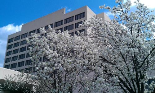 Capitol Plaza Hotel Jefferson City