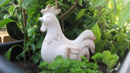 Garden living
