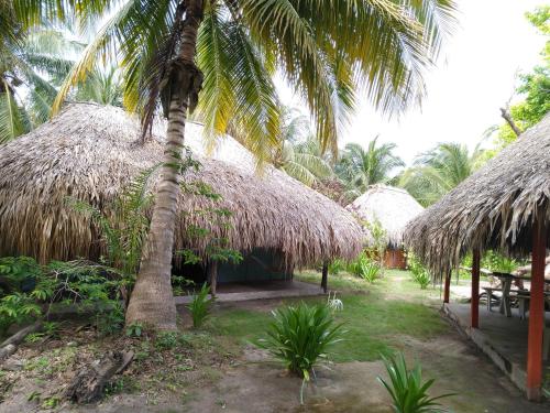 Eco Hotel Las Palmeras in Rosario Islands