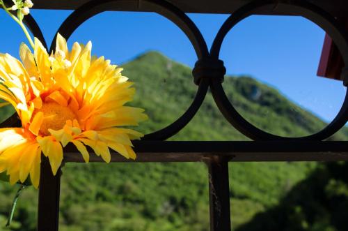 Agriturismo Pompagnano