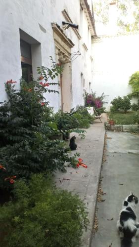 Grand Argence Grand Argence