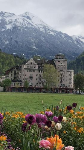  Apartment Italy in Interlaken