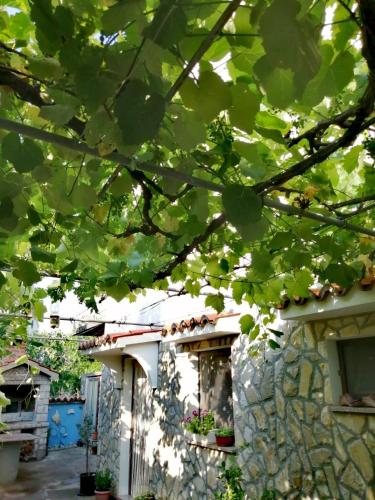 Apartman Tri palme