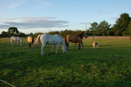 The Little Flock Farm Cavan