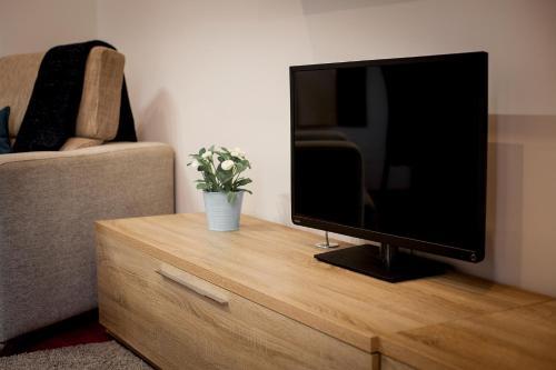 Apartamentos Villa Zoila - image 13