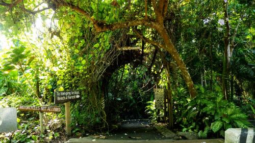 Apkārtne, Mirisbiris Garden and Nature Center in Santo Domingo (Albay)