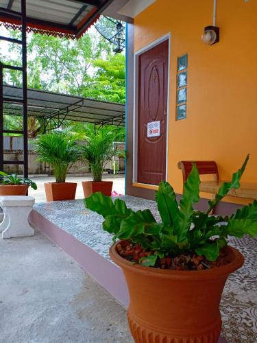 Siri Guesthouse