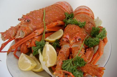 Sehsuvar Peace Pension in Egridir