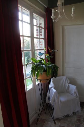 Chambres d'hôtes Manoir du Buquet - image 5