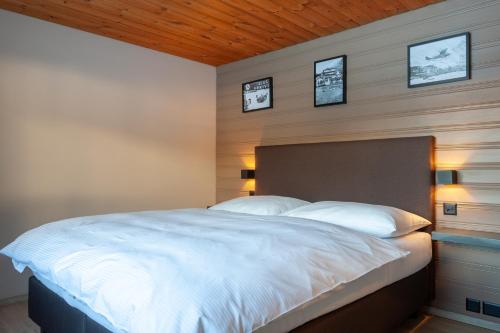 Hotel Provisorium13 - image 5