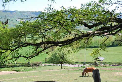 B&B Montagny-sur-Grosne - Village.insolite - Bed and Breakfast Montagny-sur-Grosne