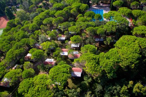Belvedere Pineta Camping Village Grado - image 3