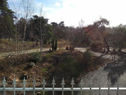 Kert, Het krekeltje in Buurtschap Beerze