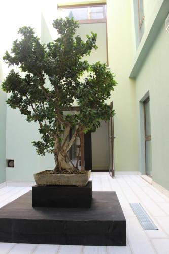 Aqua Ria Boutique Hotel - image 5